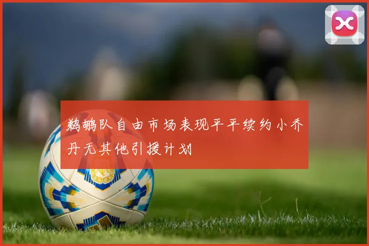 鹈鹕队自由市场表现平平续约小乔丹无其他引援计划