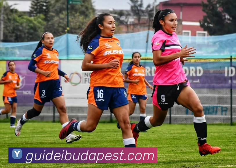 奖项证书